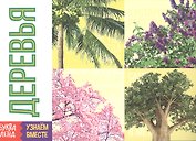 Обучающая книга «Деревья»