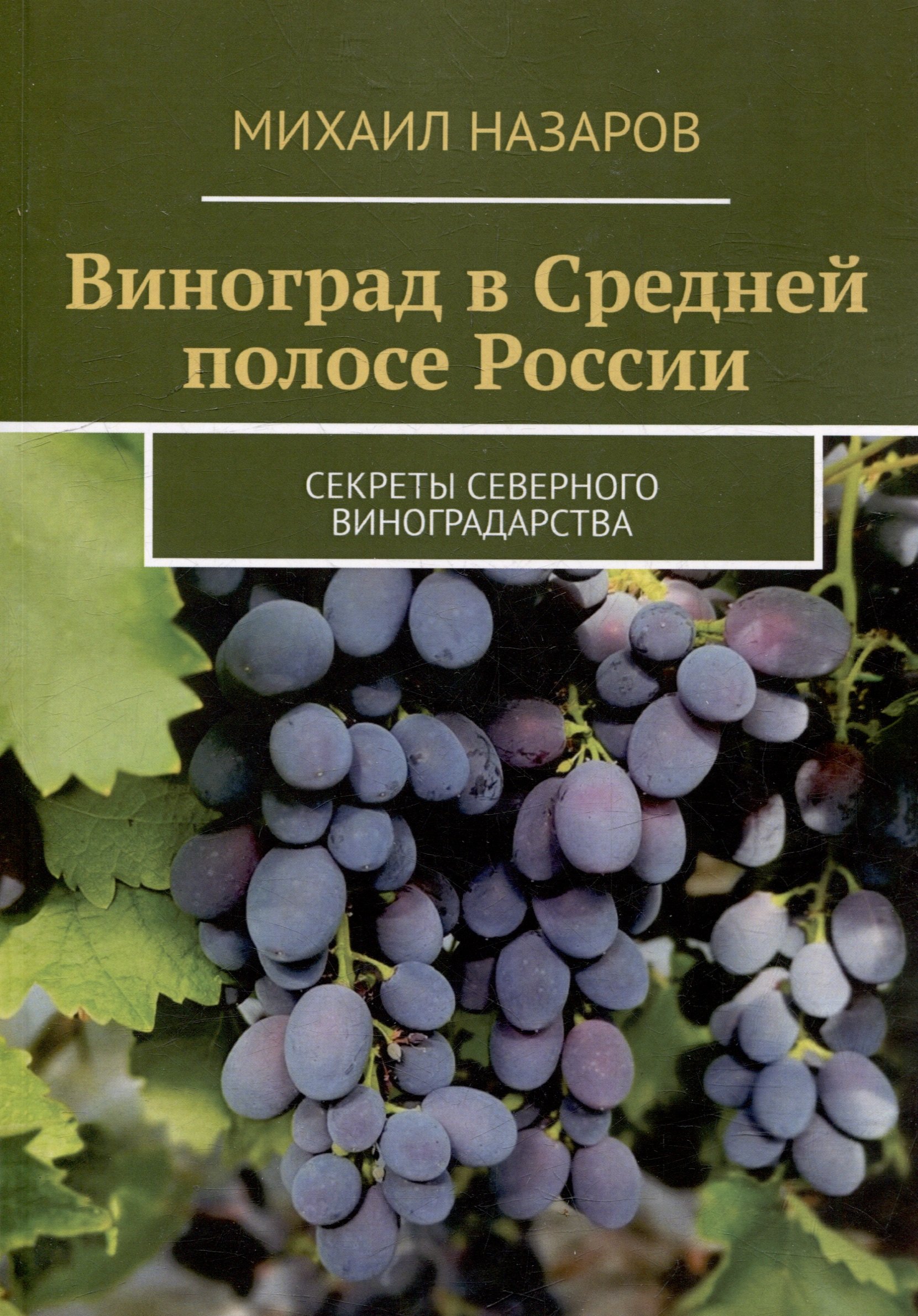 

Виноград в Средней полосе России. Секреты северного виноградарства
