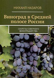 Виноград в Средней полосе России. Секреты северного виноградарства