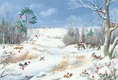 Времена года. Иллюстрированная энциклопедия - 1