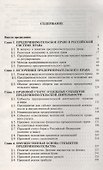 Правовое регулирование предпринимательской деятельности в России : монография - 2