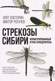 Стрекозы Сибири: Иллюстрированный атлас-определитель