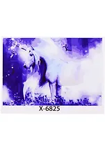 Набор д/творчества Рыжий кот Палитра Холст с красками 30х40см (18цв.) Единорог  в сказочном лесу Х-6825