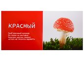 Я учу цвета. Фотокнига со стихами - 1