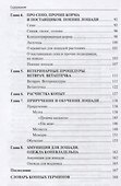 Заметки начинающего коневладельца. Личный опыт и ошибки - 2