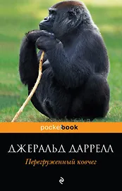 Перегруженный ковчег : повесть