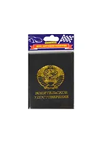 Обложка для автодокументов пластик Водительское удостоверение (841314)