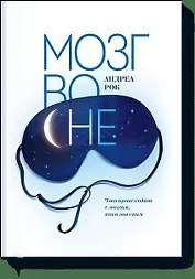 Мозг во сне