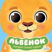 Львенок