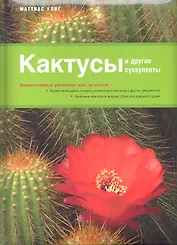 Кактусы и другие суккуленты
