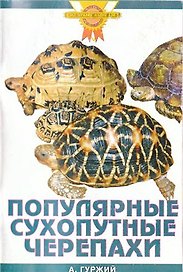 Популярные сухопутные черепахи.(цвет)