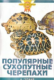 Популярные сухопутные черепахи.(цвет)