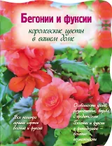 Бегонии и фуксии.Королевсуие цветы в вашем доме