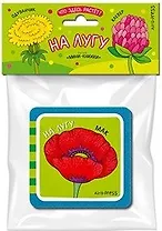 Мини-книжки ЭВА. Что здесь растёт? На лугу