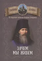 Зачем мы живем. По творениям святителя Феофана Затворника