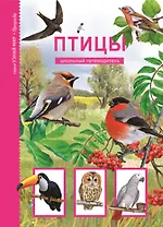 Птицы: Школьный путеводитель