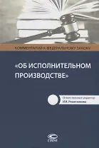 Комментарий к Федеральному закону Об исполнительном производстве (Решетникова)