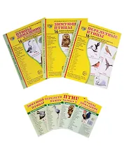 Демонстрационные картинки СУПЕР. Птицы: перелетные, зимующие, домашние (комплект из 3-х наглядных материалов в папках + 4 набора карточек)