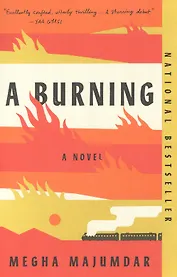 A Burning : A novel