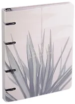 Тетрадь на кольцах в клетку Be Smart, "Nude. Пальма", 120 листов