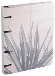 Тетрадь на кольцах в клетку Be Smart, "Nude. Пальма", 120 листов