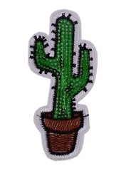 Термонаклейки кактус 11*9, орр