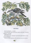 Лесное ожерелье. Рассказы о природе . Илл. Е. Чарушиной-Капустиной - 2