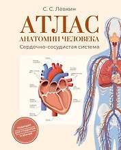 Атлас анатомии человека. Сердечно-сосудистая система