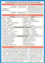 Правописание согласных в корне слова. Наглядно-раздаточное пособие