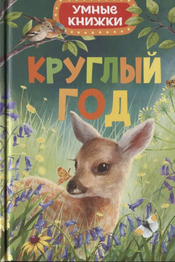 

Круглый год