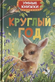 Круглый год