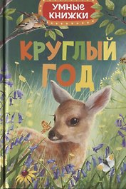 Круглый год