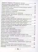 Русский язык. 2 класс. Рабочая тетрадь - 2