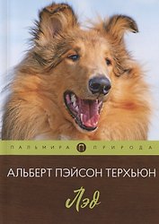 Лэд