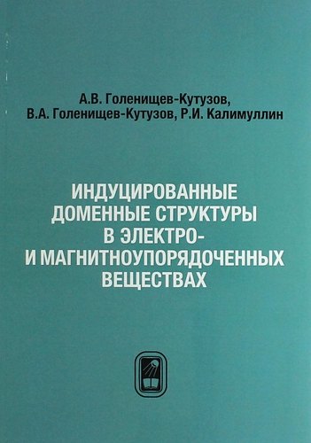 

Индуцированные доменные структуры в электро- и магнитоупорядоченных веществах