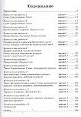 Русский язык. Литературное чтение. 1 класс. Рабочая тетрадь. ФГОС - 1