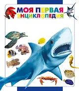 Подводный мир