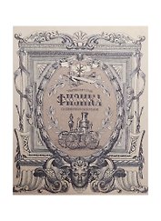 Тетрадь 48л кл. ТЕМА Old World Физика, справ.материалы, Hatber