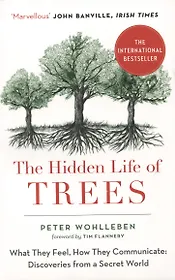 The Hidden Life of Trees