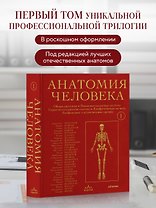 Анатомия человека. Эксклюзивное издание с 50-летней историей. Том 1