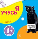 Цвет / Для детей от 1 года - 0