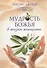 Мудрость Божья в жизни женщины. Вечные принципы на всякий день и час - 0