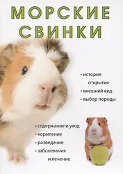 Морские свинки