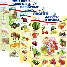 Комплект познавательных мини-плакатов: Домашние животные, животные леса, фрукты и ягоды, овощи