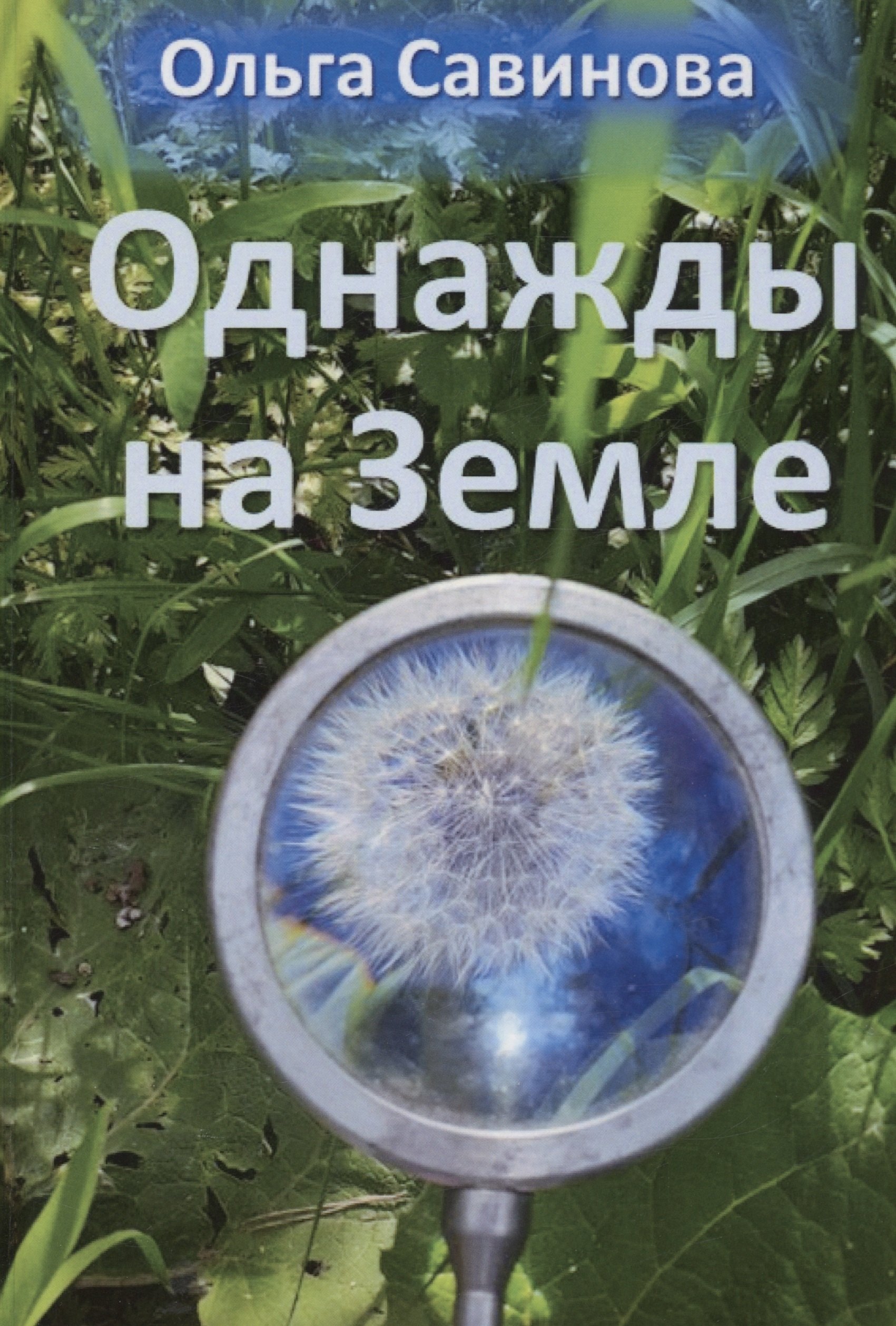 

Однажды на Земле