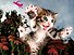 Пазл, Super 3D, Pounce: Пушистый охотник 100эл., 31*23см - 2