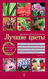 Лучшие цветы. Цветение в доме круглый год