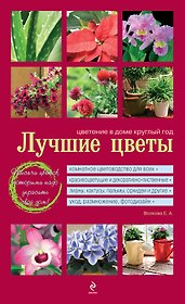 Лучшие цветы. Цветение в доме круглый год