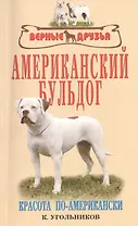 Американский бульдог. Красота по-американски.