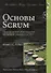 Основы Scrum: практическое руководство по гибкой разработке ПО - 0